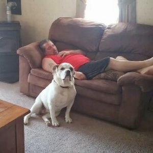 Meet your Posher, Glenn